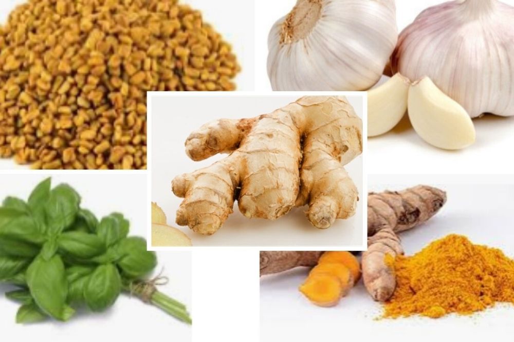 Immunity Boosting Herbs
